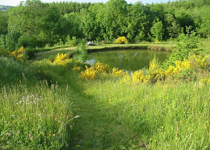 Domaine De L'abeale Nocleg ze śniadaniem *